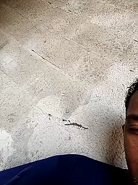 negopreto  online show from February 2026 07:37:01 PM