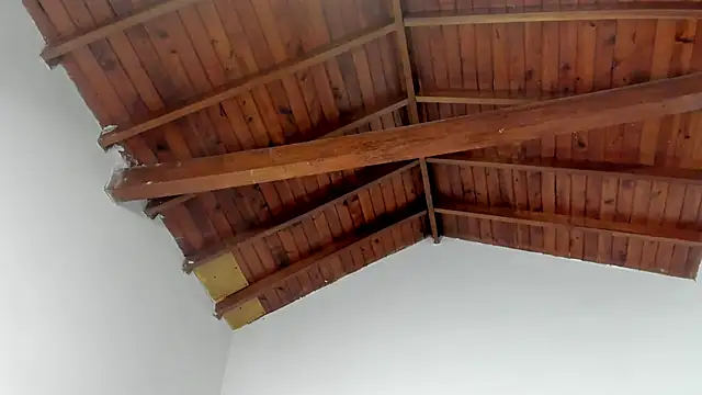 TonyPetrovjs online show from March 2026 07:37:01 AM