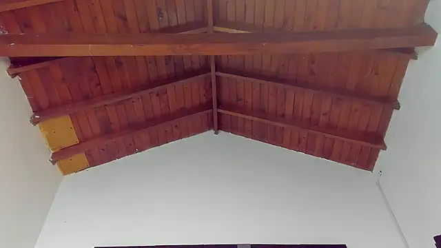 TonyPetrovjs online show from March 2026 04:44:02 AM