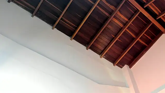 TonyPetrovjs online show from April 2026 04:58:02 AM