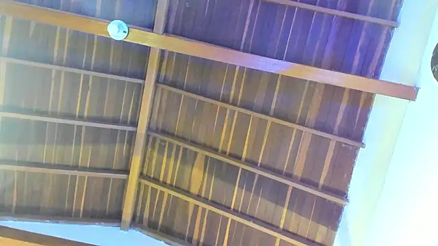 Snapshot of TonyPetrovjs chatting on February 2026 05:51:01 AM TonyPetrovjs online show from February 2026 05:51:01 AM