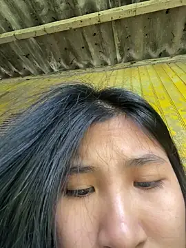 Snapshot of -Havuta- chatting on February 2026 03:41:01 AM -Havuta- online show from February 2026 03:41:01 AM