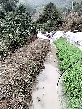 ngocbao11 online show from March 2026 01:11:02 AM