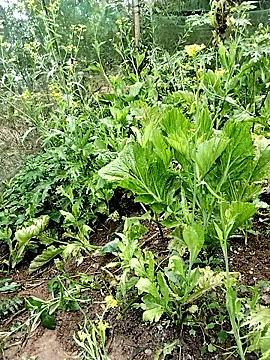 ngocbao11 online show from February 2026 01:05:02 AM