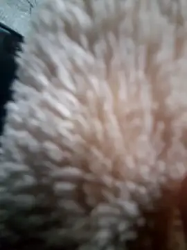 iambesting online show from February 2026 11:21:02 AM