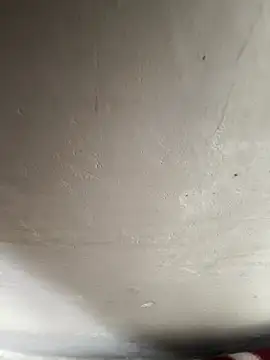 reena-sassy online show from February 2026 08:27:02 AM