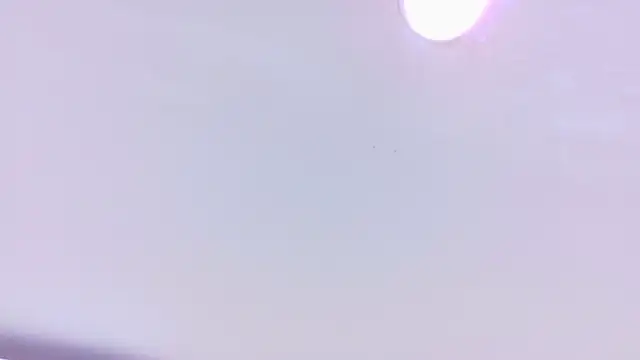 nina bae online show from April 2026 07:18:01 PM