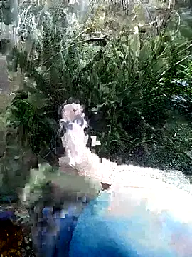mar coral2 online show from July 2026 01:36:02 PM