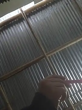 mar coral2 online show from March 2026 11:44:01 AM