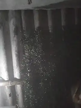 mar coral2 online show from March 2026 04:02:02 AM