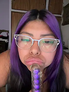 perritarebeldee online show from March 2026 01:04:02 PM