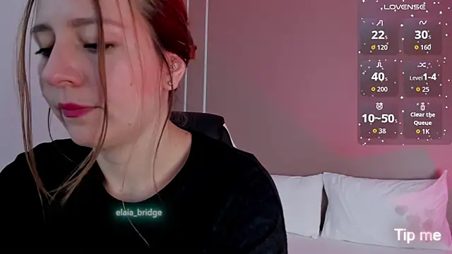 Snapshot of elaia_bridge chatting on June 2026 11:49:02 AM elaia bridge online show from June 2026 11:49:02 AM