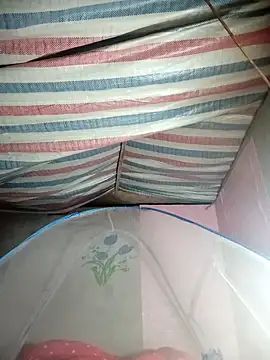 Susu-bae online show from February 2026 02:34:02 AM