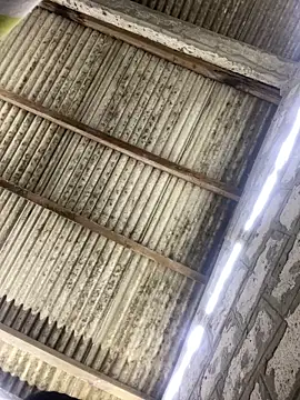 ale sweet53 online show from April 2026 01:56:01 AM