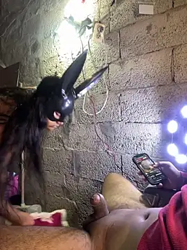 ale sweet53 online show from March 2026 05:58:01 AM