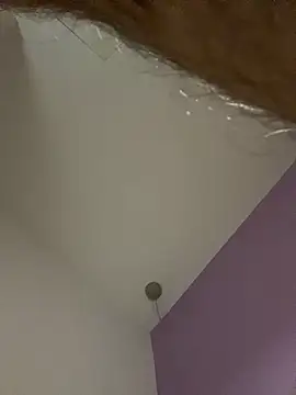 dimitri25987 online show from April 2026 07:33:02 AM