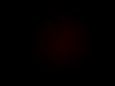 wifedesi7050 online show from March 2026 07:30:01 AM