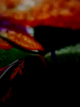 wifedesi7050 online show from April 2026 08:21:01 PM