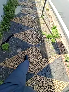 PudimGuloso online show from March 2026 05:31:02 PM