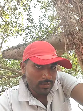 Fantasy King 3939 online show from April 2026 09:16:02 AM