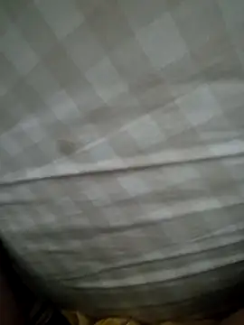 Edu235 online show from March 2026 02:33:01 AM