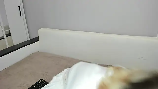 Snapshot of Silva-Tailll chatting on February 2026 03:11:01 PM Silva-Tailll online show from February 2026 03:11:01 PM