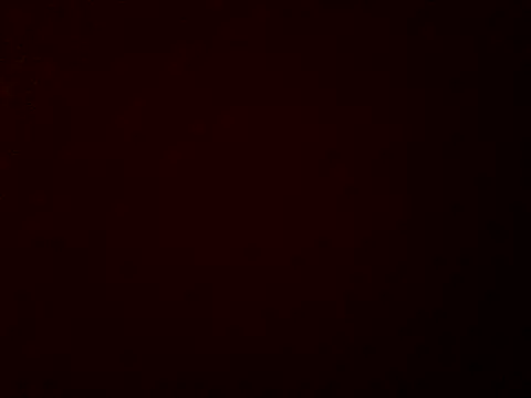 stud2512 online show from March 2026 10:51:01 AM