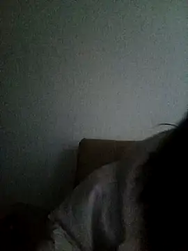 Ana  arms online show from March 2026 11:22:02 AM