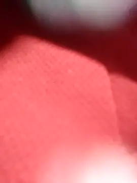 jackkk0011 online show from February 2026 12:49:02 PM