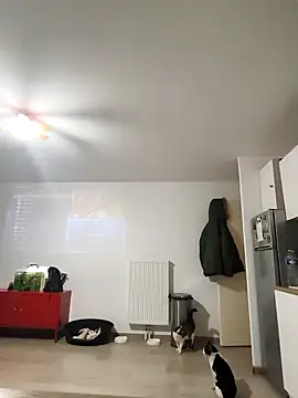 eruzam59000 online show from March 2026 07:04:02 AM