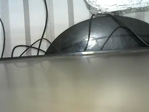 negraiza online show from May 2026 05:00:02 PM