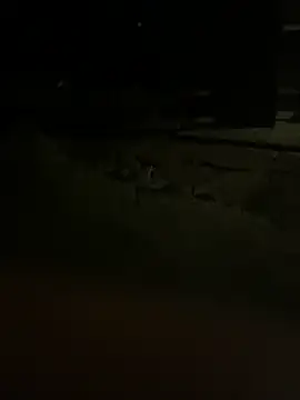 princessandthefootjob online show from March 2026 04:36:02 AM