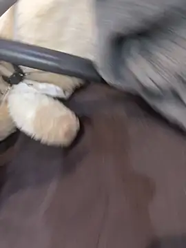 NniuAh online show from March 2026 09:13:01 AM