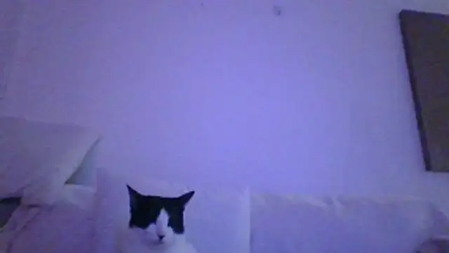 Snapshot of kinkykara25 chatting on April 2026 09:10:02 PM kinkykara25 online show from April 2026 09:10:02 PM