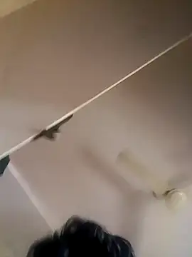 playboy69 Bangalore online show from February 2026 04:14:01 AM