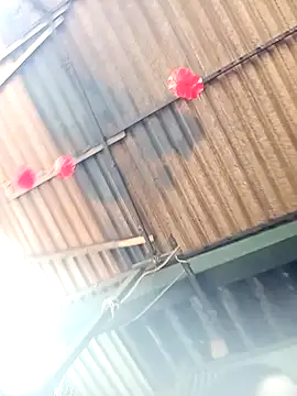 Anna Bellam online show from February 2026 08:36:02 AM