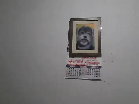 DIEGOLUIS2026 online show from March 2026 03:56:04 AM