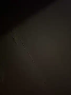 BunnyYT online show from May 2026 07:08:01 AM