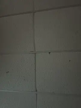 BunnyYT online show from May 2026 10:32:01 AM