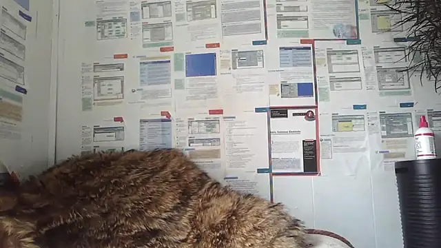 BunnyYT online show from March 2026 04:21:01 PM