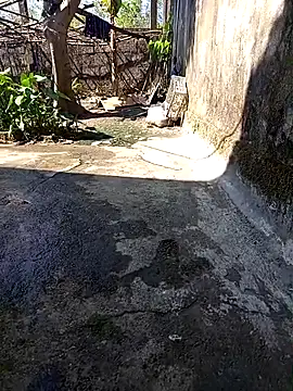 hungdecu online show from February 2026 03:06:01 AM