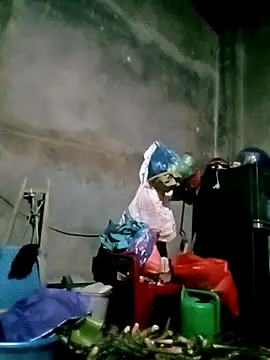 elen8800 online show from February 2026 11:22:02 AM