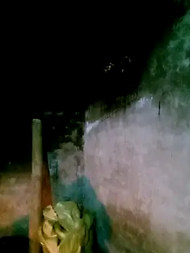 elen8800 online show from February 2026 11:37:02 PM