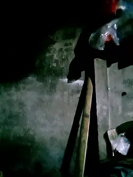 elen8800 online show from March 2026 10:54:02 AM