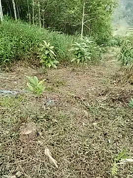 01 ANNA 01 online show from March 2026 09:32:02 AM