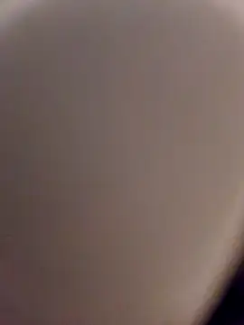 Snapshot of skynct2007 chatting on February 2026 05:41:02 AM skynct2007 online show from February 2026 05:41:02 AM