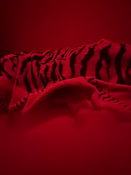 689Nika online show from March 2026 08:03:01 PM