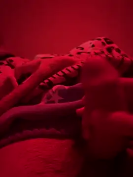 689Nika online show from April 2026 01:56:01 PM