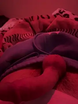 689Nika online show from March 2026 07:57:01 AM