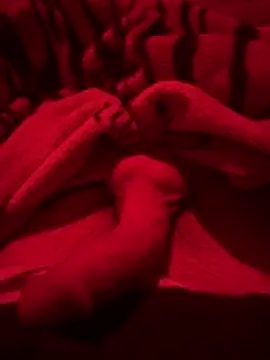 689Nika online show from March 2026 07:02:02 PM